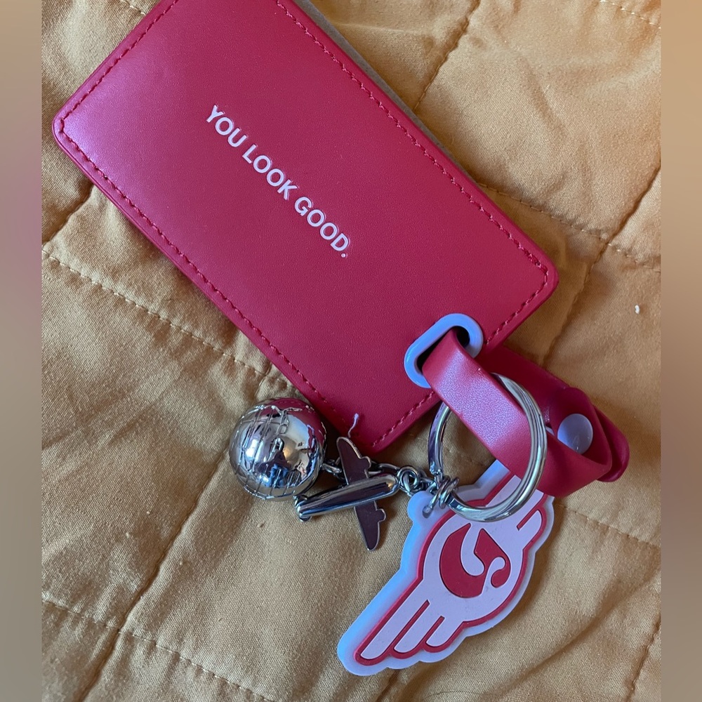 BNIB DC luggage tag